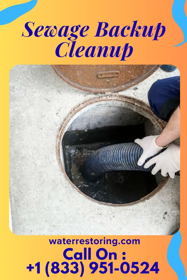 Sewage Backup Cleanup in Lattimore, NC
